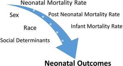 What about sex, race(ism), and social determinants of health in neonatal outcomes?